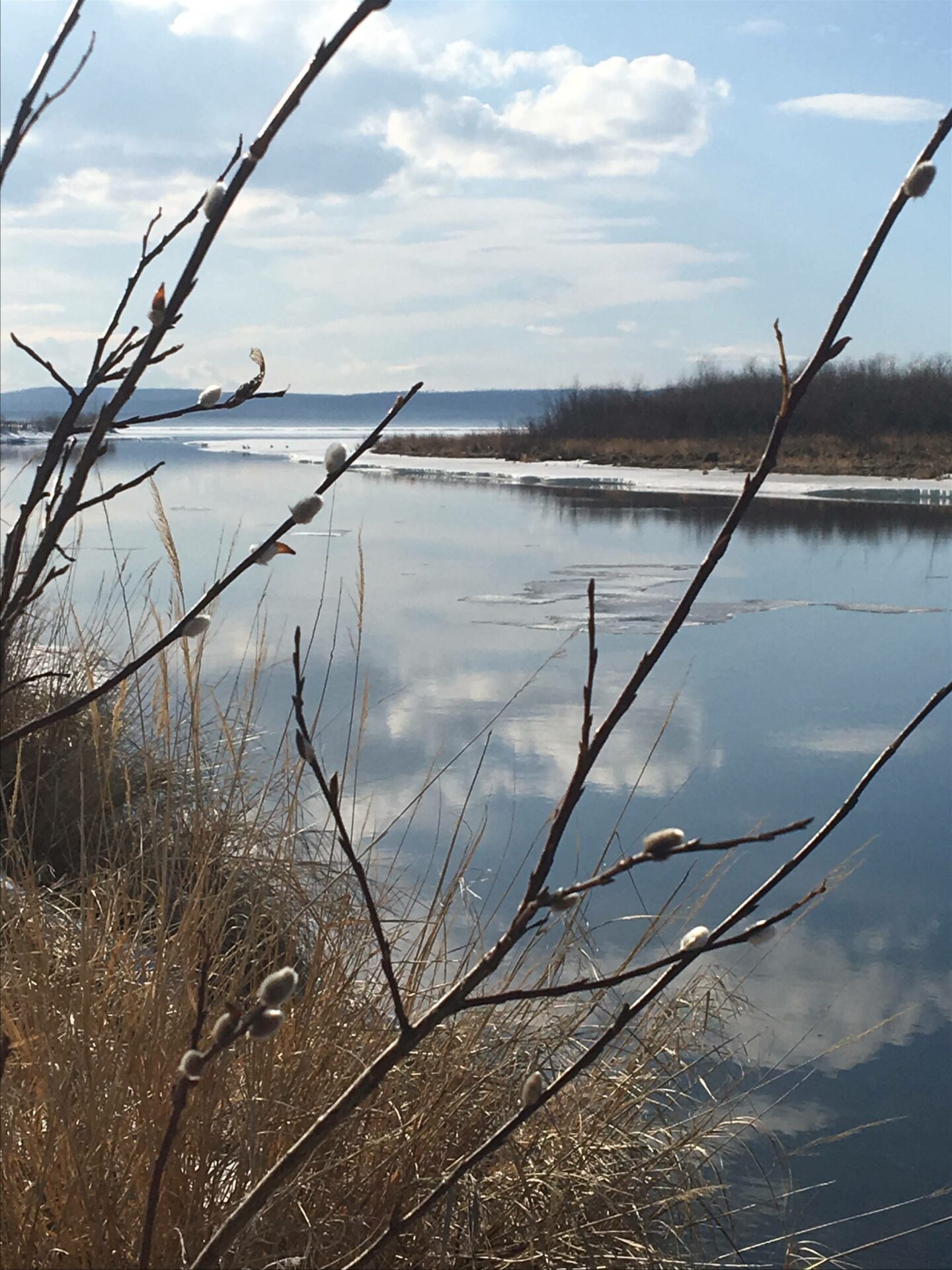 Old Town Cabins In Lesser Slave Lake
